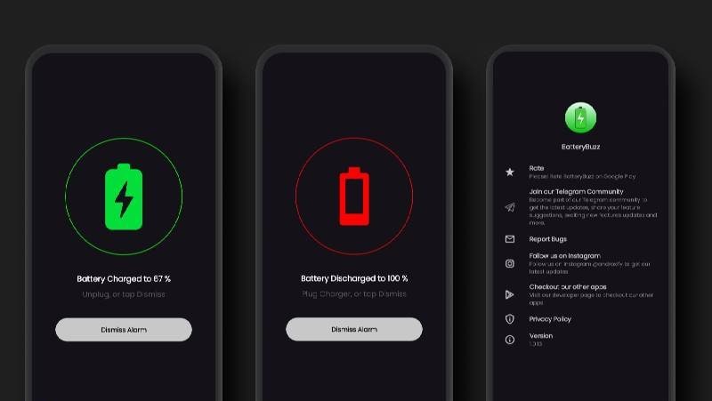 BatteryBuzz: Full Low Alarm - Screenshot 2