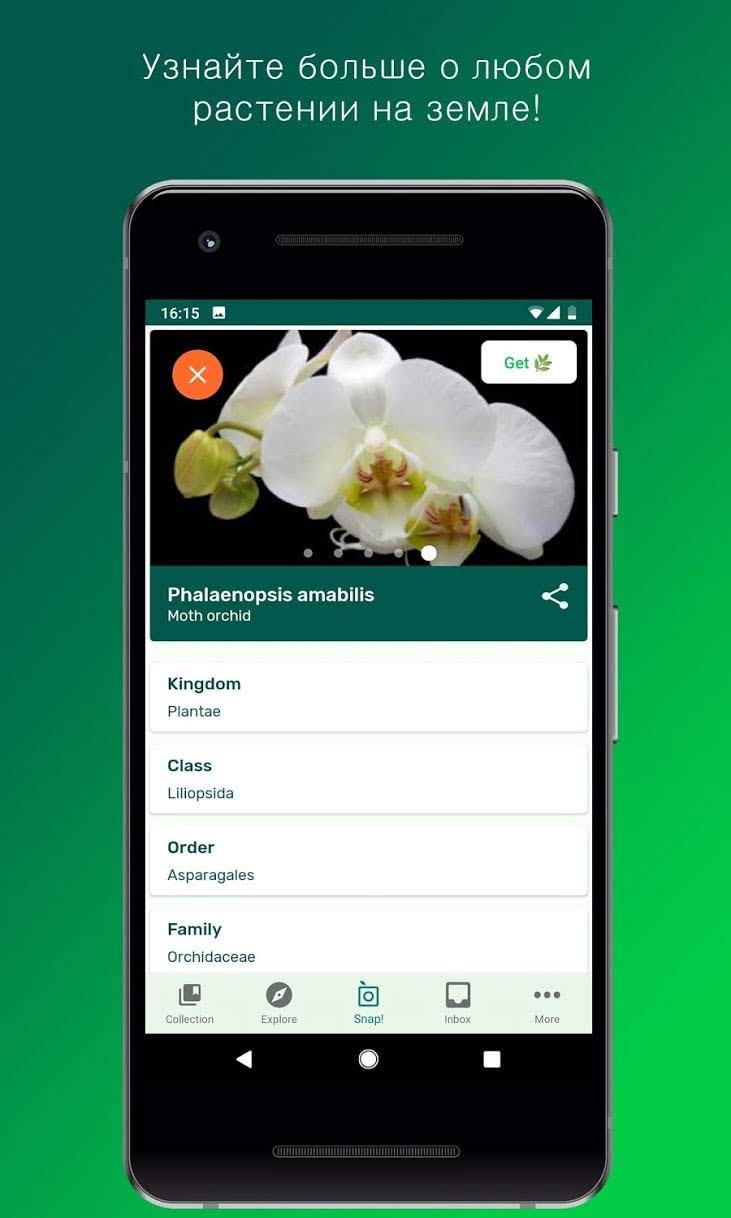 PlantSnap screenshot 3
