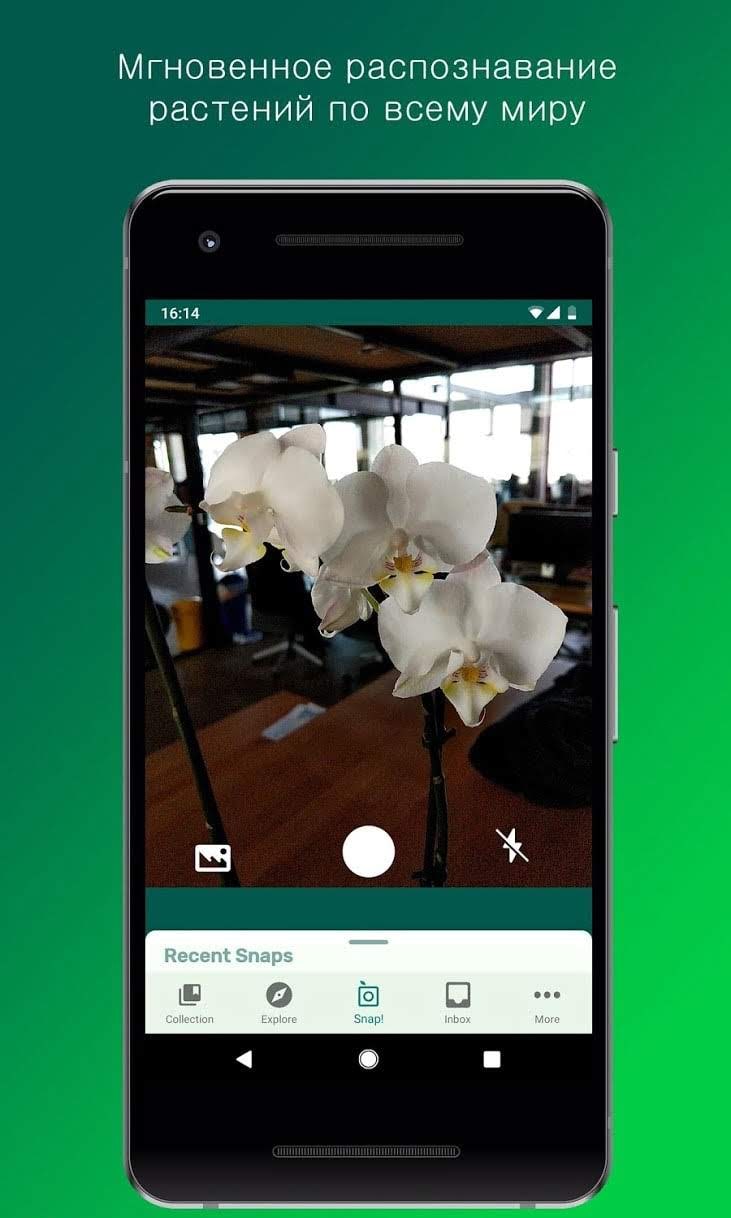PlantSnap screenshot 1