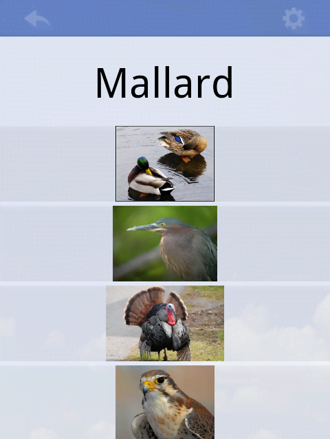Flashcards Deluxe screenshot 2
