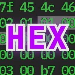 Hex Editor, Binary Viewer