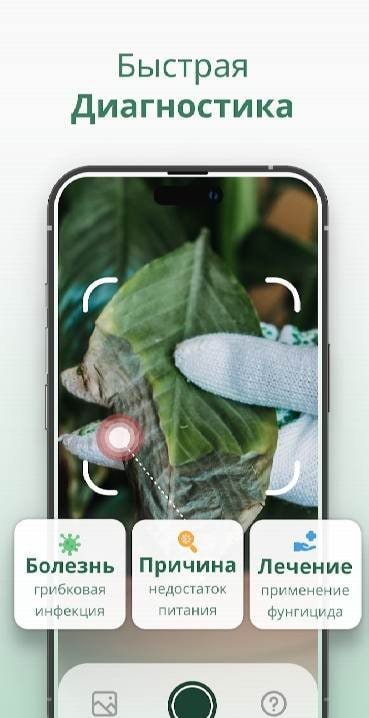 Plantify: AI Plant Identifier screenshot 4