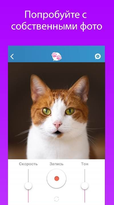 My Talking Pet screenshot 1