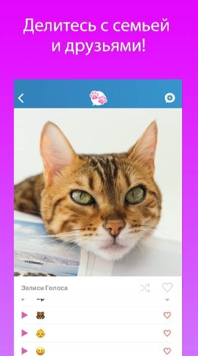 My Talking Pet screenshot 4