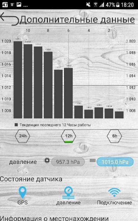 Professional Barometer Screenshot 2
