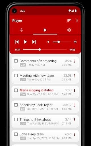 Voice Recorder, Pro screenshot 2