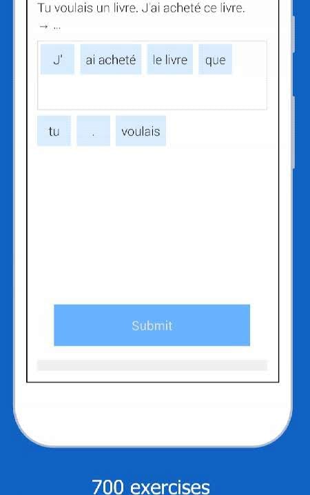 Dr French, French grammar screenshot 2