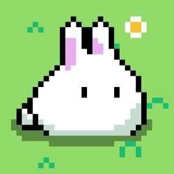 Rabbits Hop
