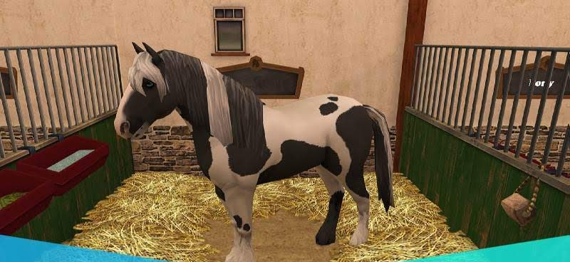 Horse World Premium Screenshot 1