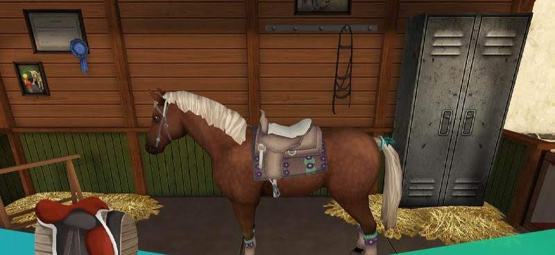 Horse World Premium Screenshot 3