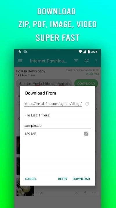 File Downloader screenshot 2