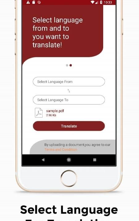 PDF Document Translator Screenshot 3