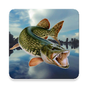 Fishing in Yerki