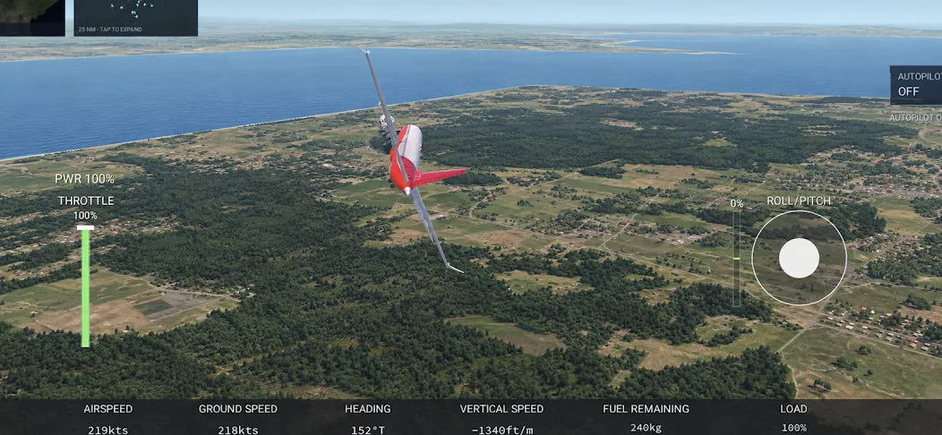 Flight Simulator: World in-flight action