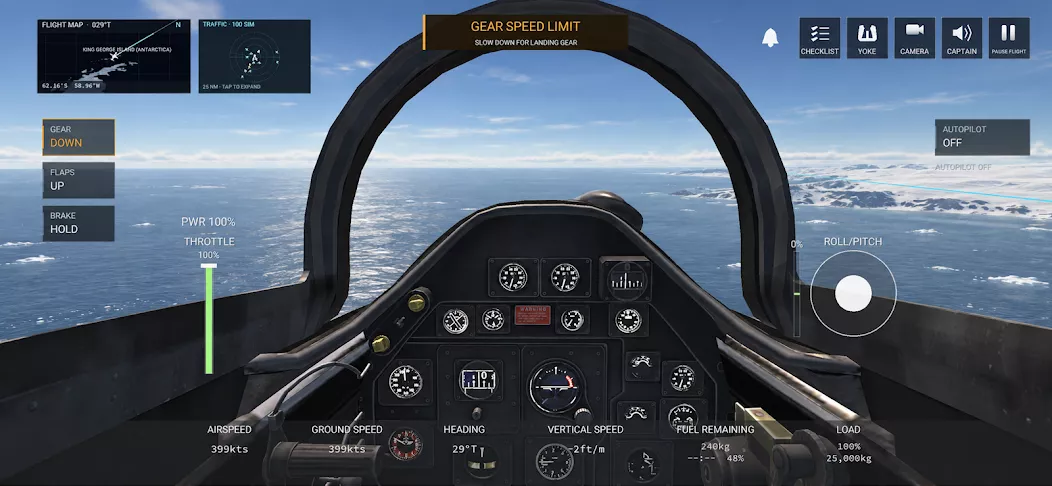 Flight Simulator: World cockpit view