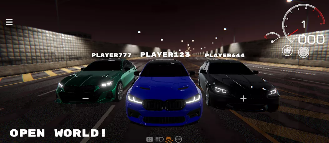 PROJECT R: Ultra Car Simulator screenshot 2