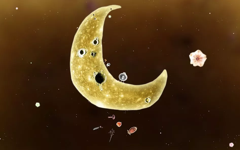 Botanicula screenshot 3