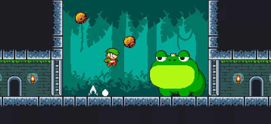 Tiny Dangerous Dungeons Remake screenshot 3