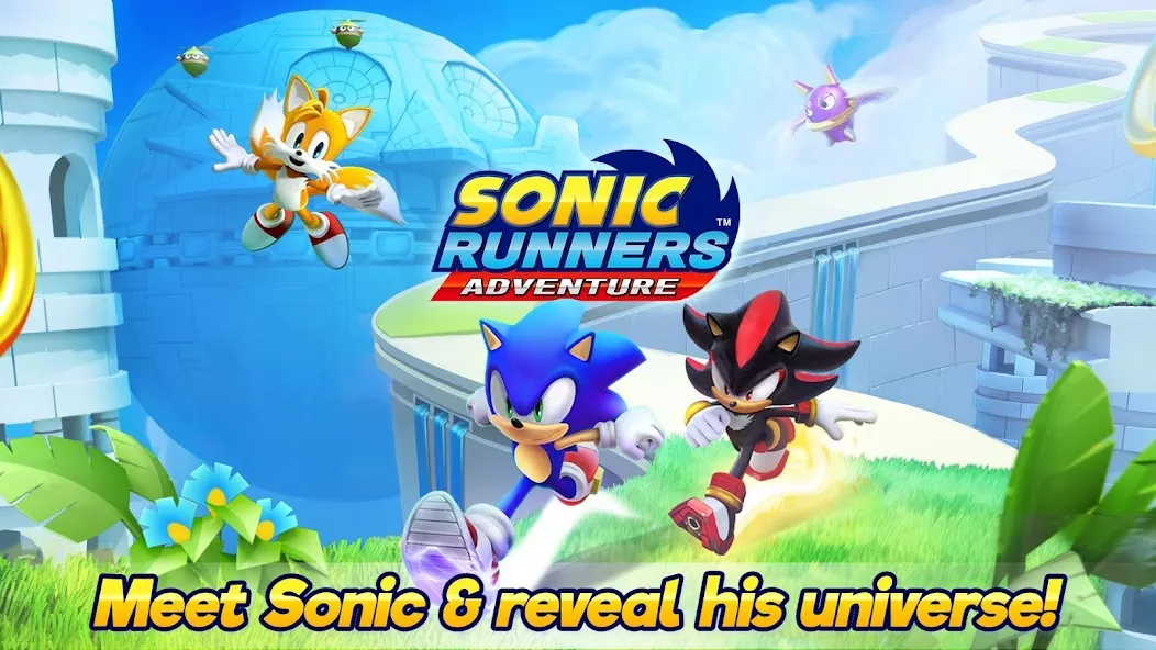 Sonic Runners Adventure screenshot 5