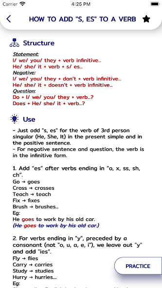 English Grammar screenshot 3