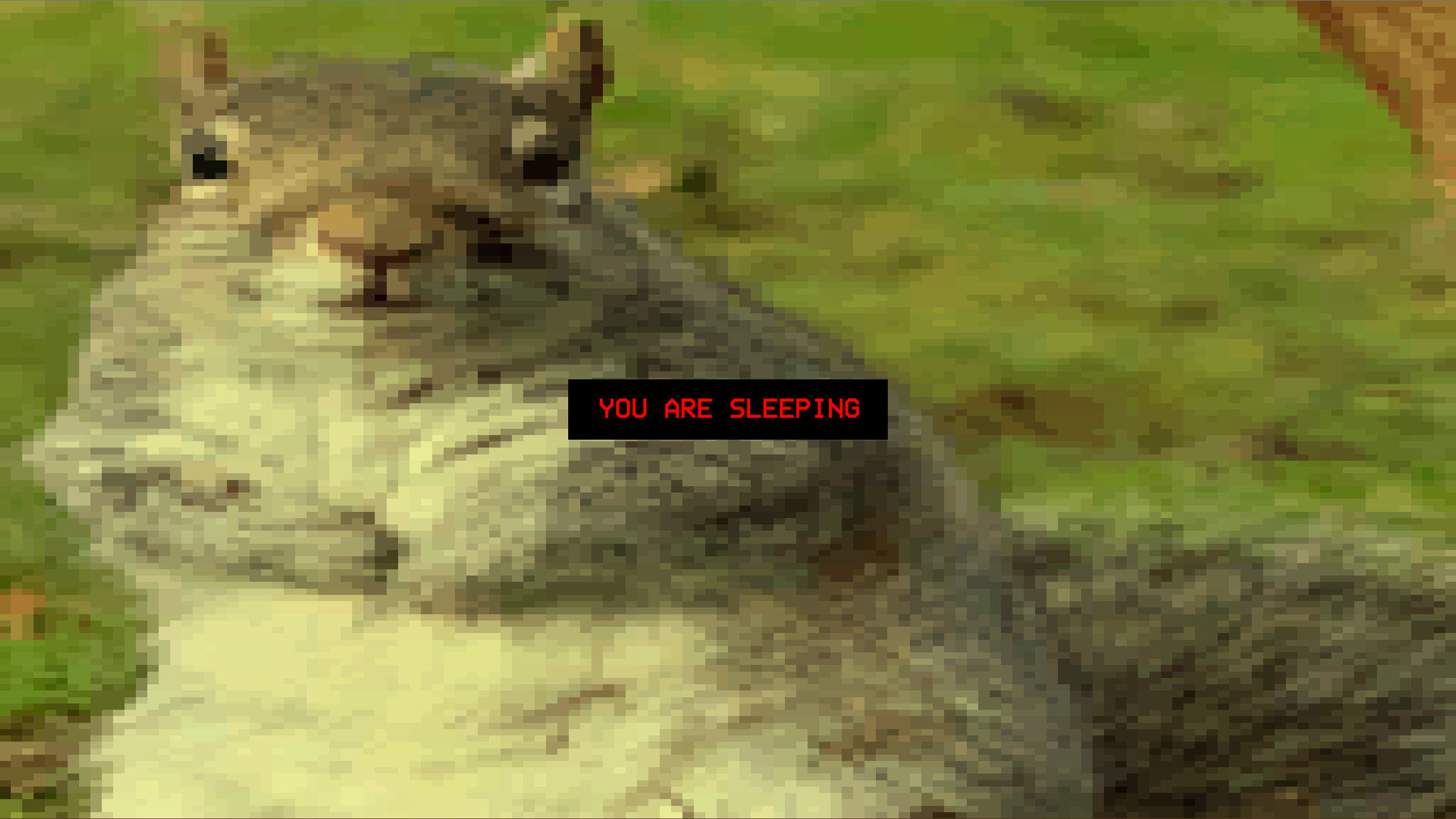 Squirrel Stapler screenshot 3