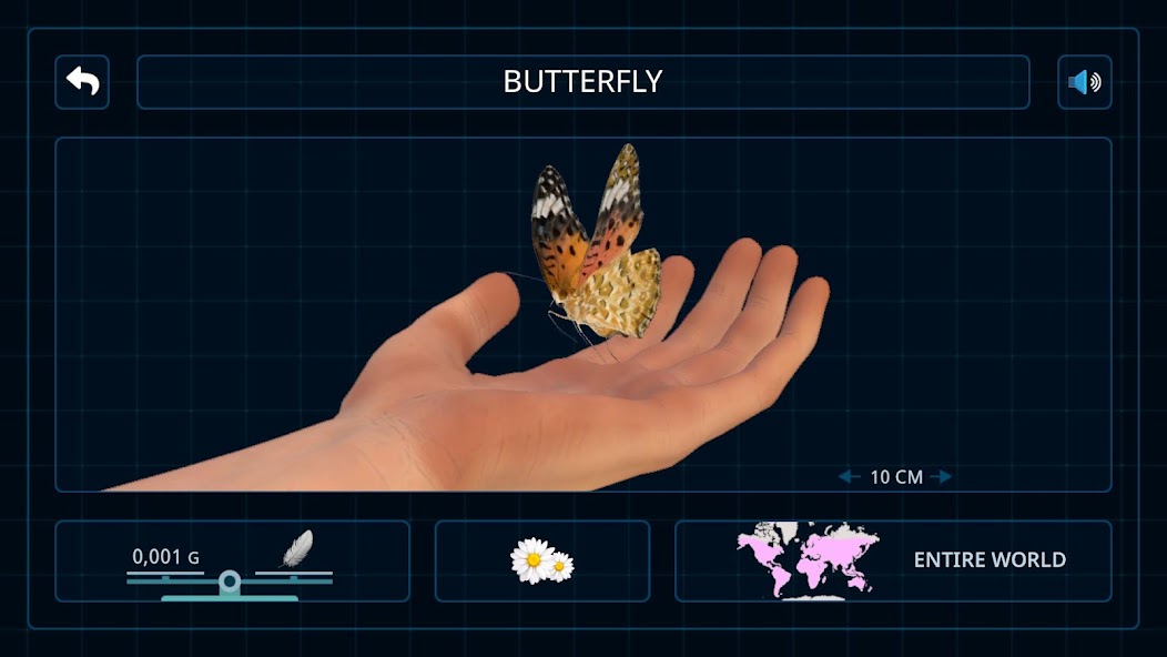 Bugs & Insects (Full version) screenshot 5