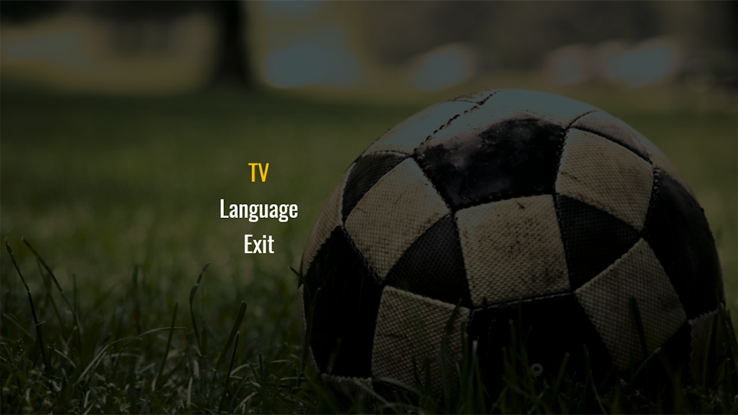 Alem TV screenshot 6
