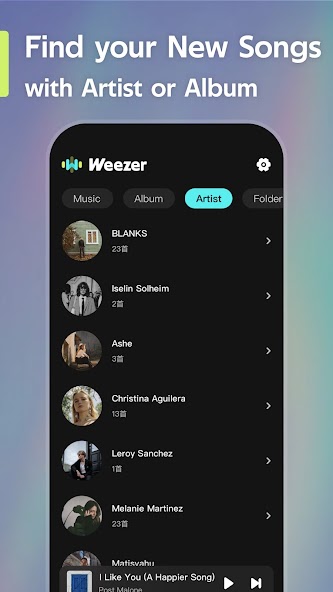 Offline Music Player – Weezer screenshot 5