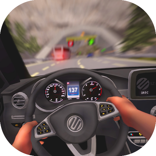 POV Car Driving