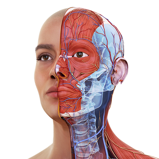 Complete Anatomy