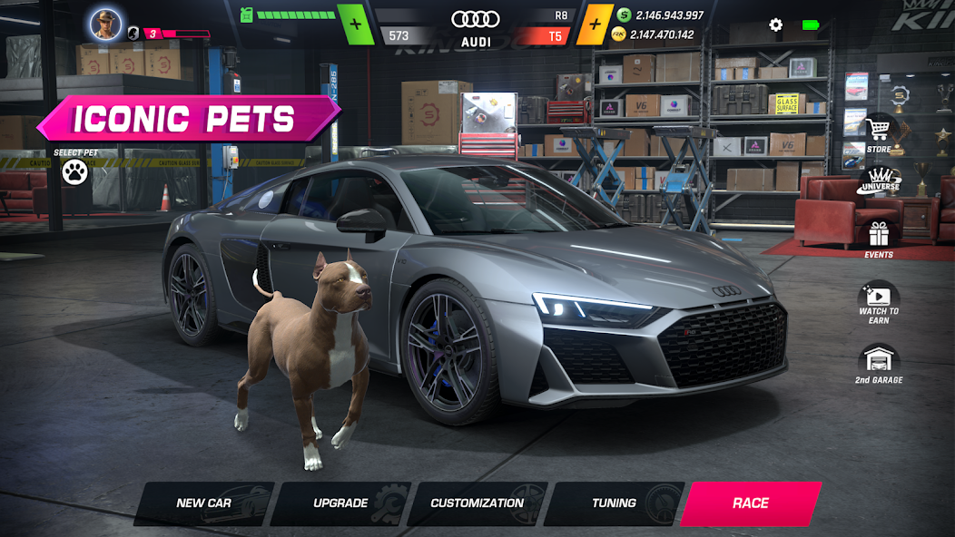 Racing Kingdom screenshot 1