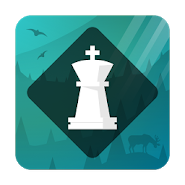 Magnus Trainer