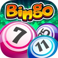Bingo