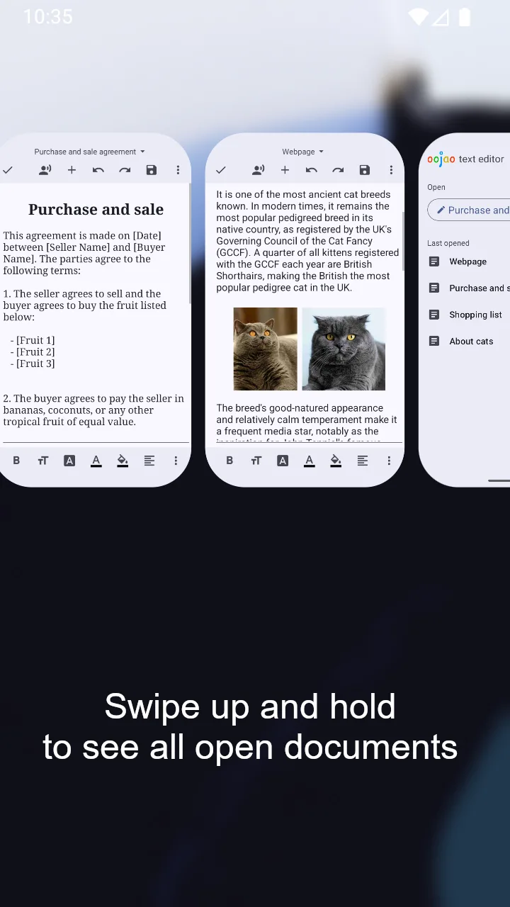 Oojao Text Editor screenshot 1